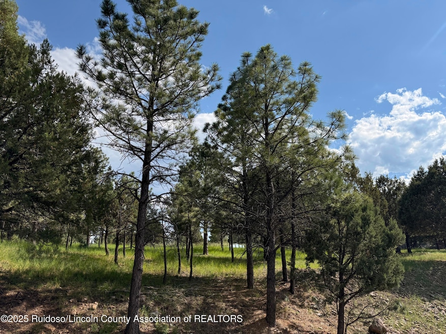 Lot 3 Block 8, Alto, NM 88312 - photo 1