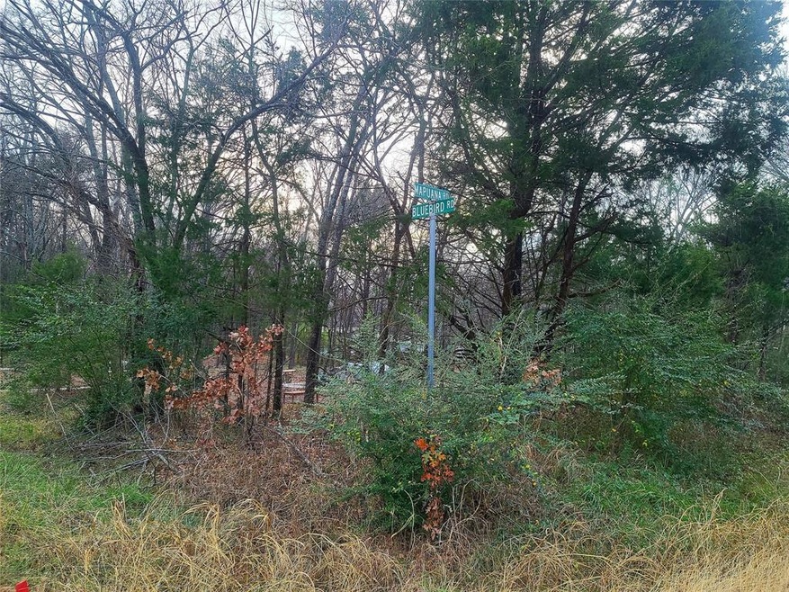 TBD Mapuana Ln Bluebird Ln, Sadler, TX 76264 - photo 1