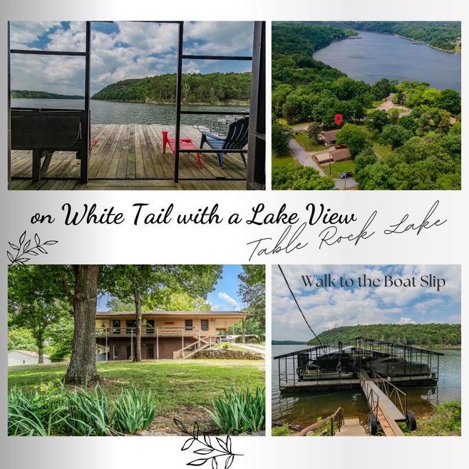 26980 White Tail