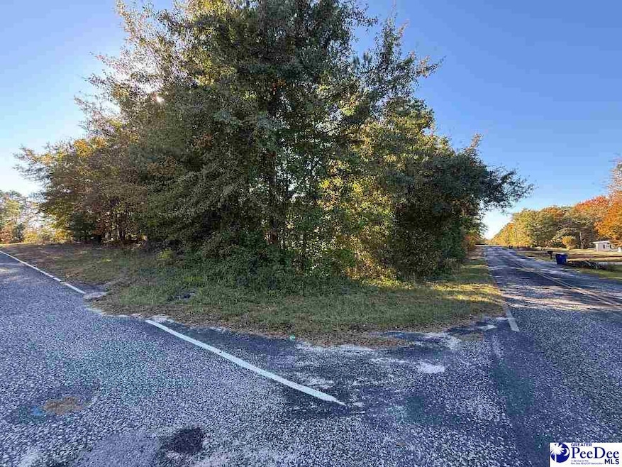 Lot 9-14 Maple Ave, McBee, SC 29101 - photo 1