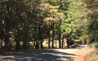 LT 7 Pettit Rd, Ellijay, GA 30536 - photo 1