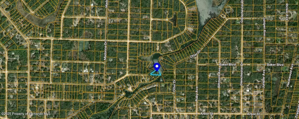 0 Long Cir unit 2255022, Webster, FL 33597 - photo 1