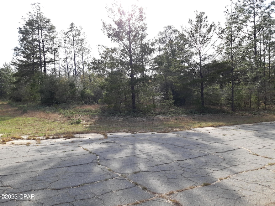 0021 Windbrook St, Chipley, FL 32428 - photo 1