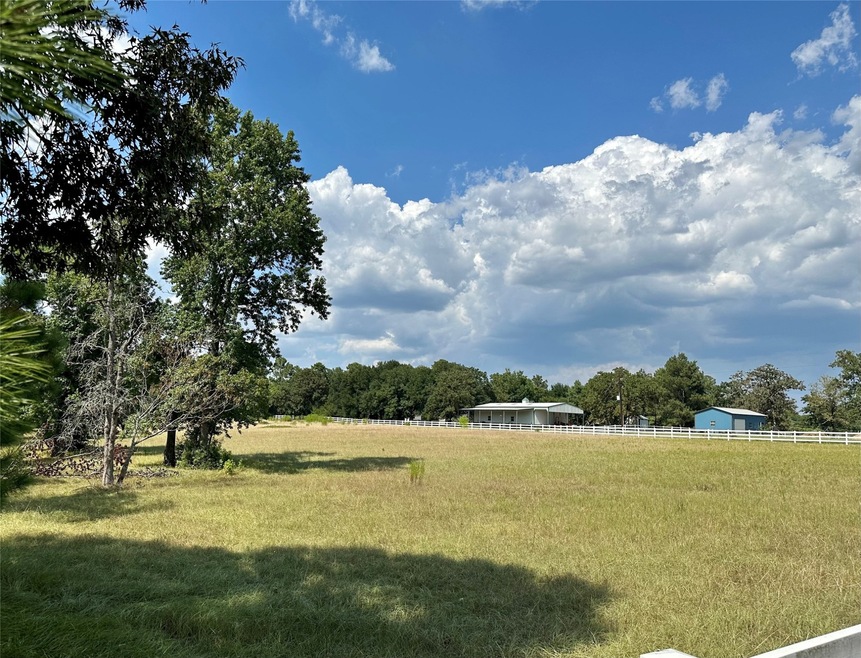 29815 Tudor Way, Magnolia, TX 77355 - photo 1