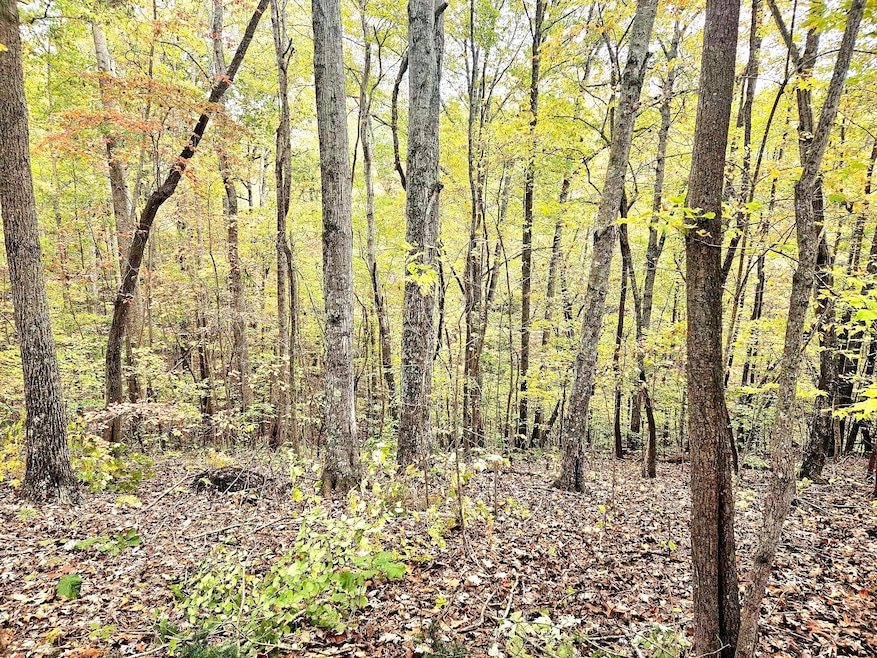 0 Drew Ct unit RTC3050632, Smithville, TN 37166 - photo 1