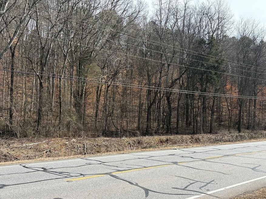 Tract 1A Cleveland Hwy unit 1A, Cohutta, GA 30710 - photo 1