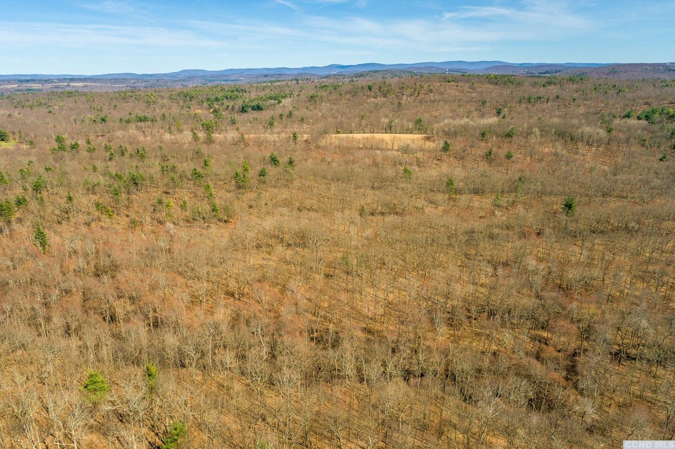 131 Benton Rd, Gallatin, NY 12502 - photo 1