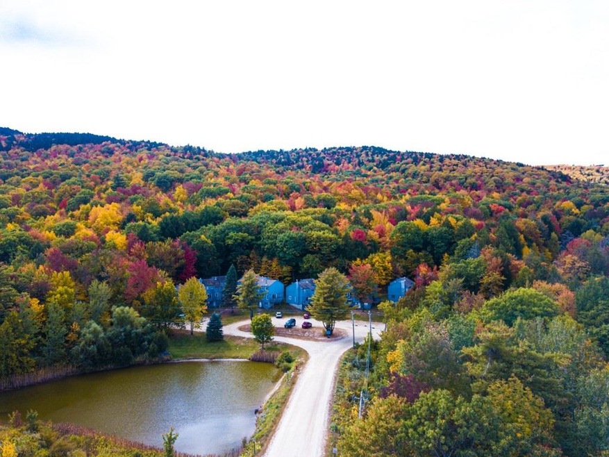 35 Eastside Ln unit 3, Francestown, NH 03043 - photo 1