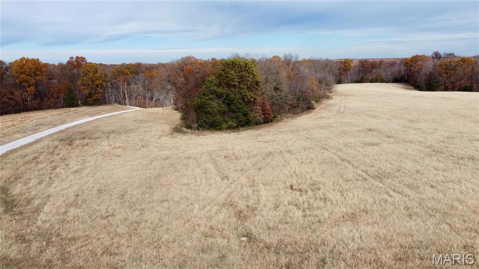 Tract 1 Polston Ln, Hickory Grove Township, MO 63357 - photo 1