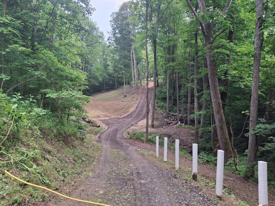 IMG_20250609_124540 (2)