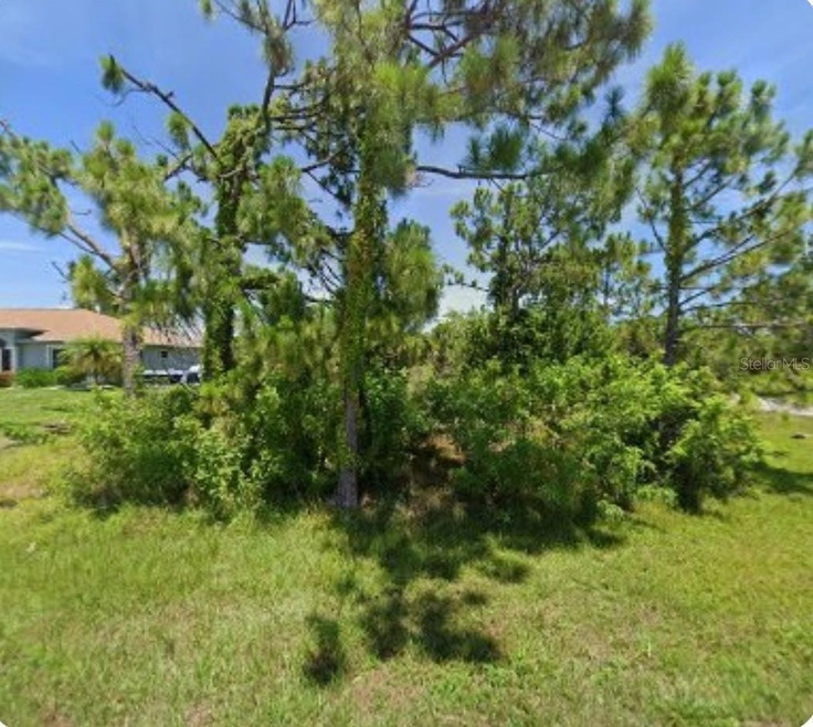 10098 Army Cir, South Gulf Cove, FL 33981 - photo 1