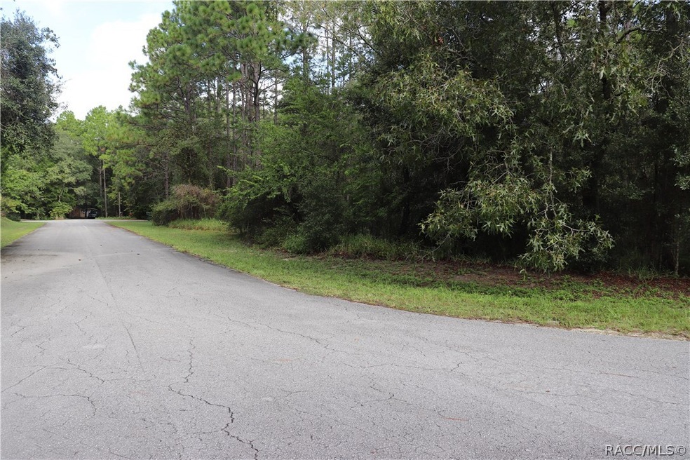 00 SW 211 Cir, Other, FL 34431 - photo 1