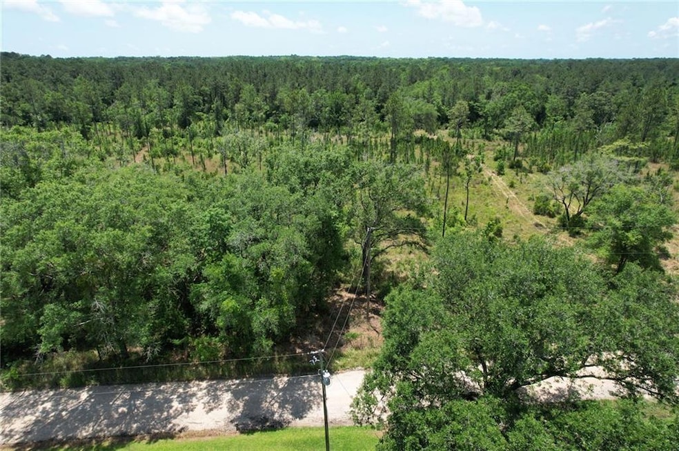 Bird's eye view of a heavily wooded area