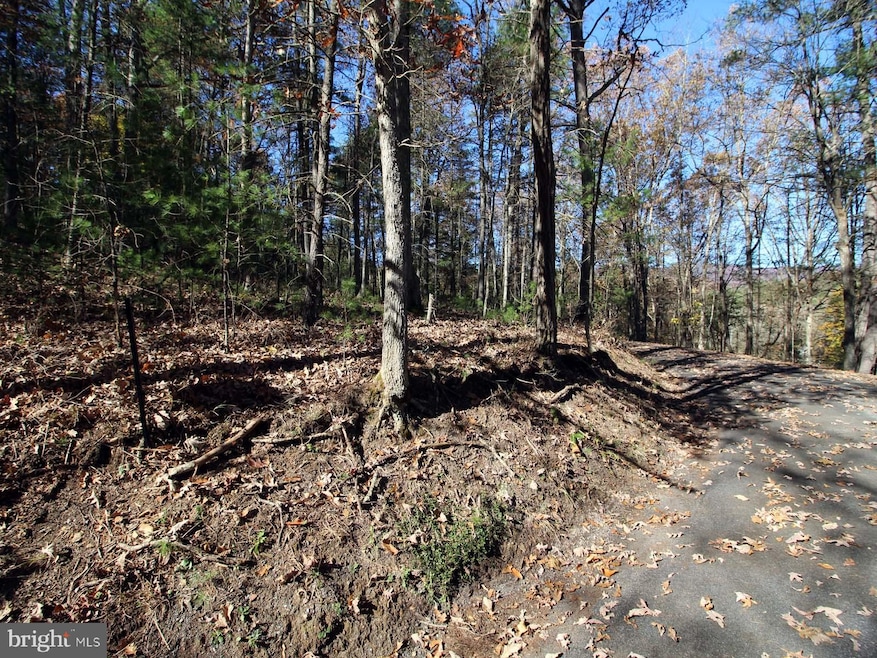 0 Breckinridge Rd, Basye, VA 22810 - photo 1