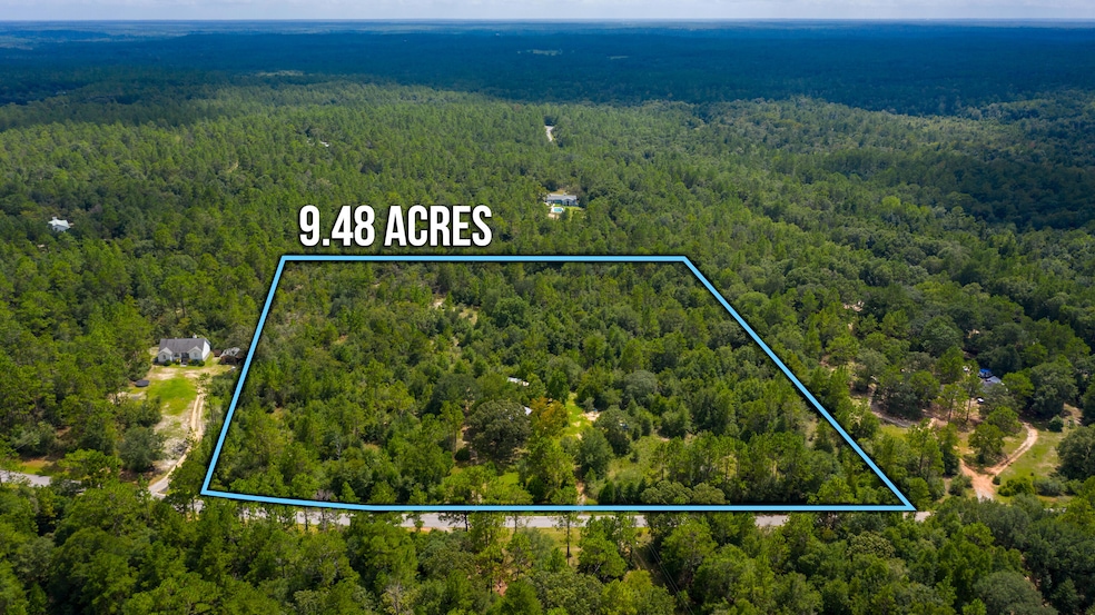 4460 Tick Haven Ln Aerial-1