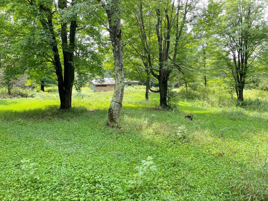 N8852 New Wood Rd, Tomahawk, WI 54487 - photo 1