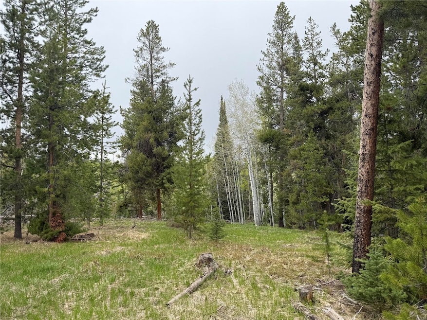 33435 Filly Trail, Oak Creek, CO 80467 - photo 1