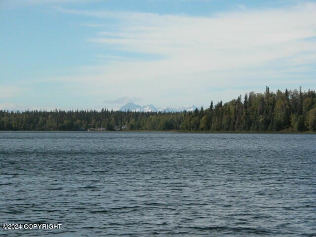 Island Lake Lot (1)