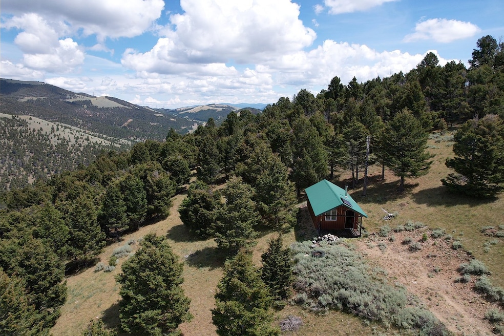 Aerial view of property and surrounding area featuring a mountain backdrop and a heavily wooded area