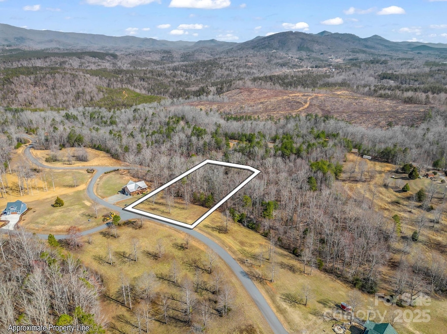 0 Summer View unit 28 CAR4239529, Green Hill, NC 28139 - photo 1