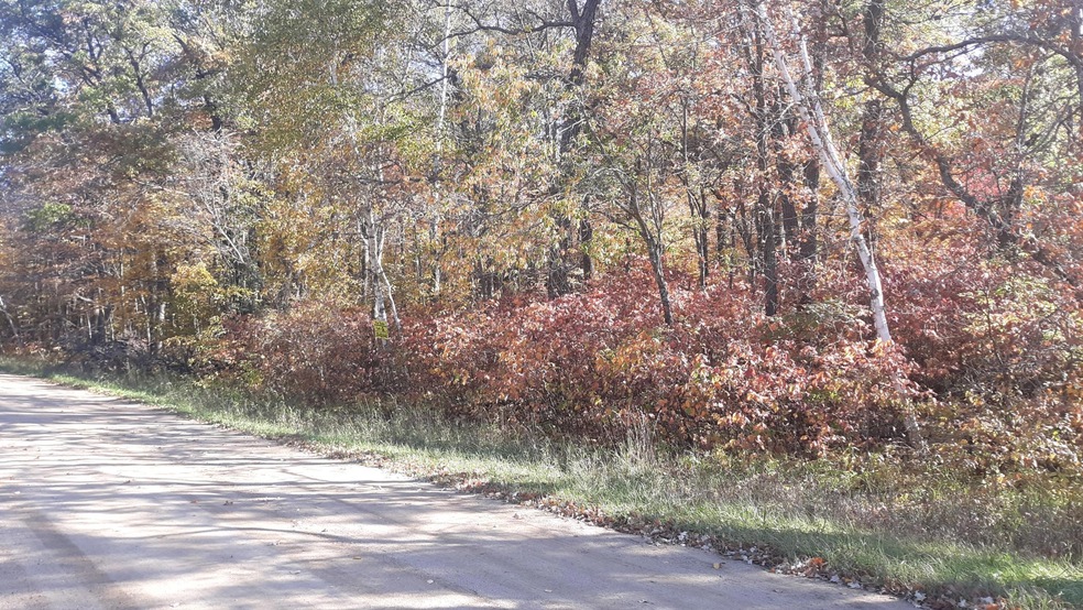 Lot 19 Block 13 285th Ave, Fawn Lake Township, MN 56438 - photo 1