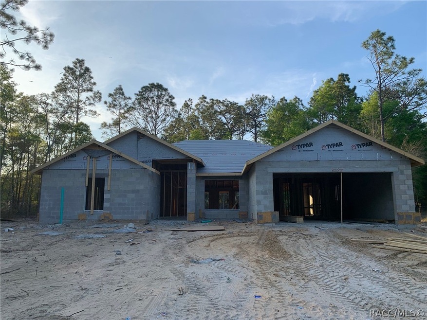 2697 W Forbes Place, Citrus Springs, FL 34434 - photo 1