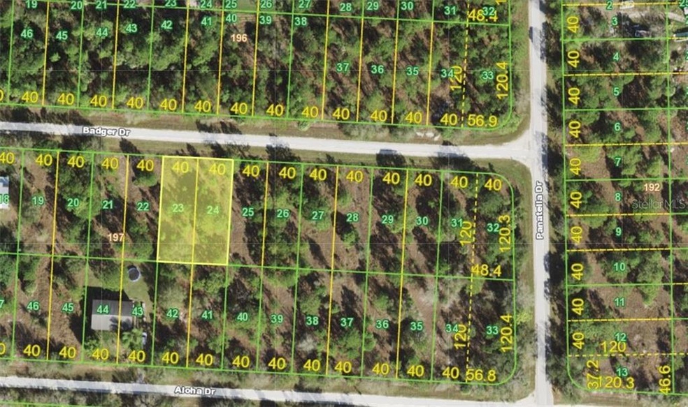 27117 Badger Dr, Punta Gorda, FL 33955 - photo 1