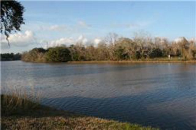 1167 Riverview Ranch, Brazoria, TX 77422 - photo 1