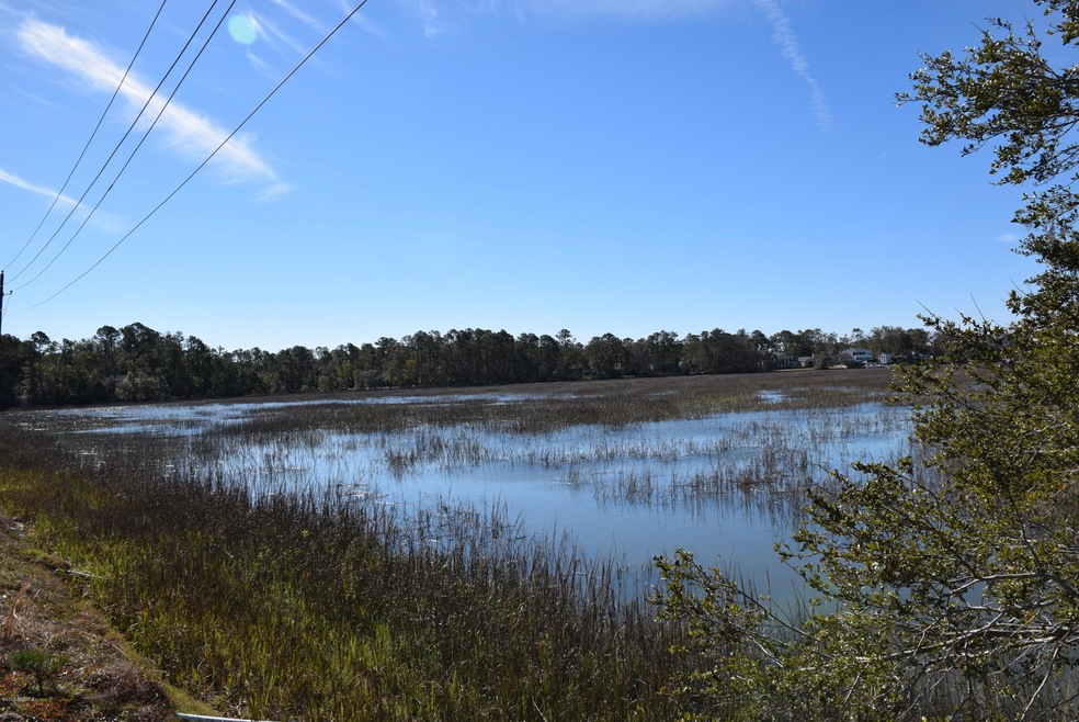 Cordgrass Loop 015