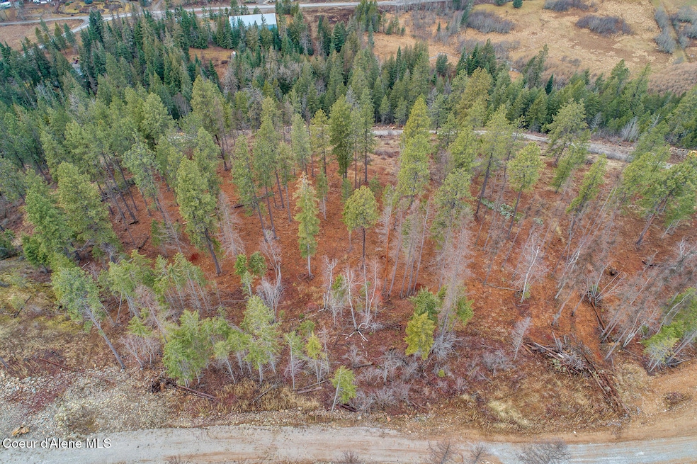 Aerial_GarfieldBay_Lot3-1