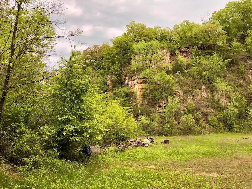 0 E Burns Valley Rd unit 1795493, Wilson, MN 55987 - photo 1