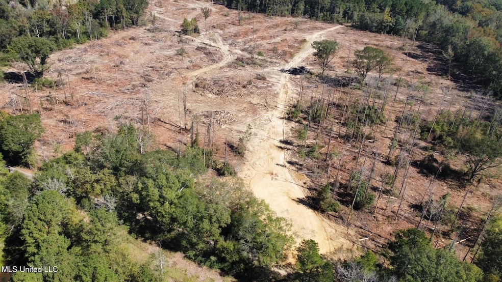 00 Pleasant Ln, Wesson, MS 39191 - photo 1