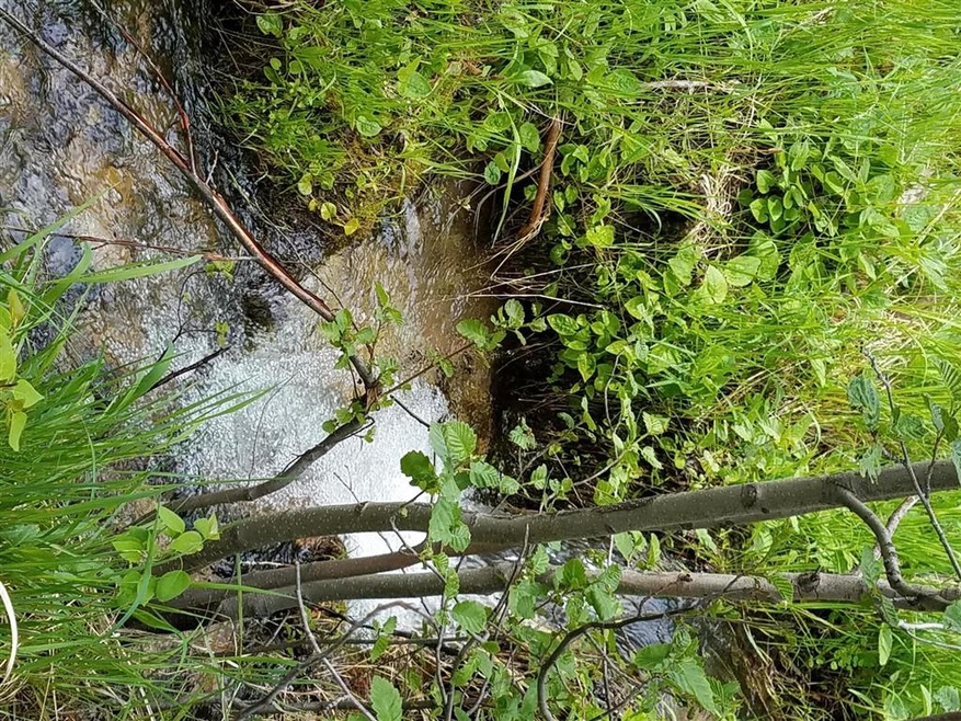 Creek running through