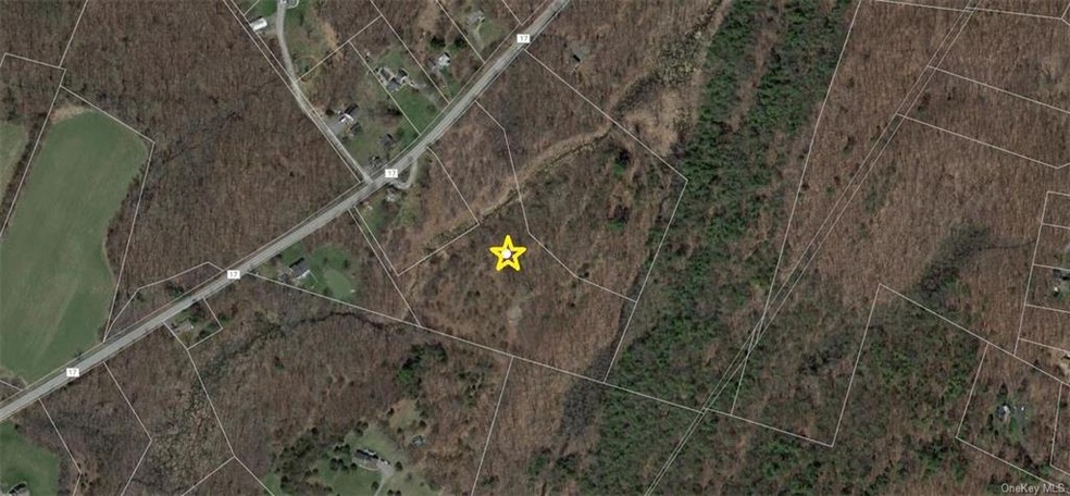 0 County Route 17 unit H6041575, Montgomery, NY 12549 - photo 1