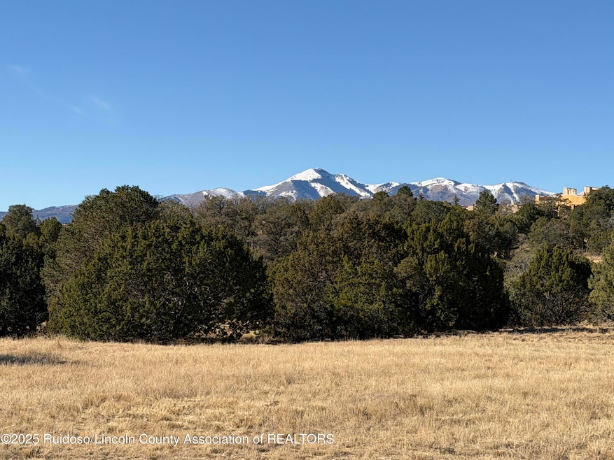 102 Tiwa Trail, Alto, NM 88312 - photo 1