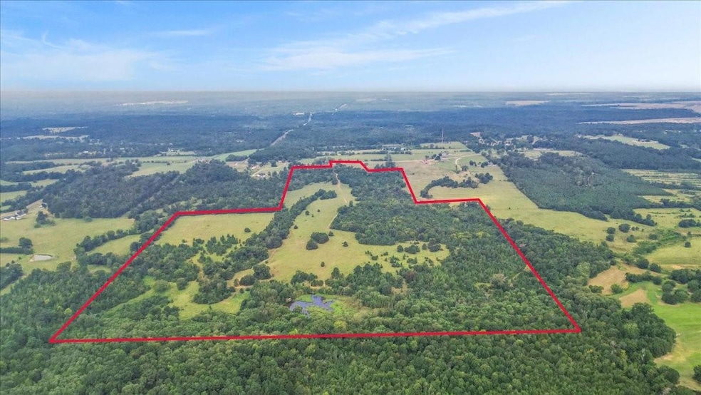 TBD Farm To Market 1002, Big Sandy, TX 75755 - photo 1