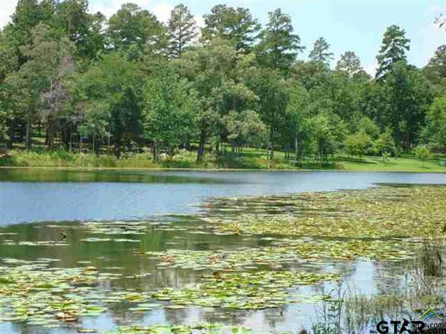 1930 Stonegate Place, Tyler, TX 75703 - photo 1