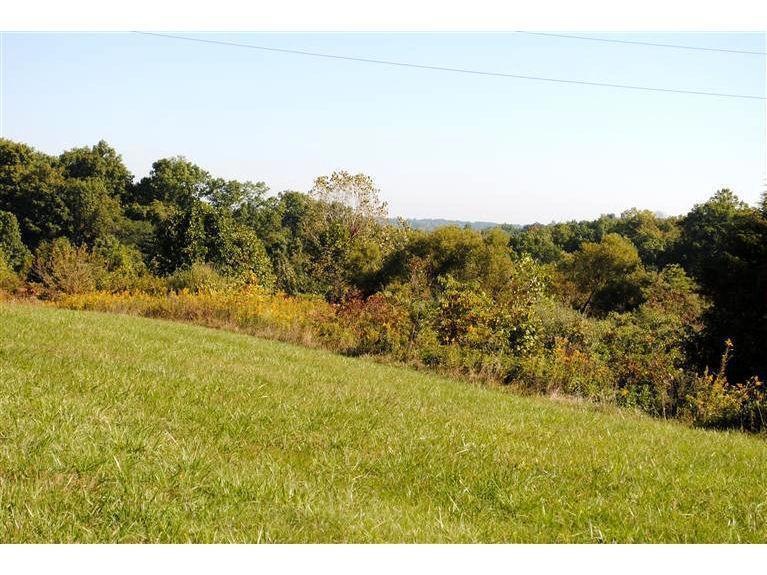 0 St Rt 229 unit 1395864, Metamora, IN 47030 - photo 1