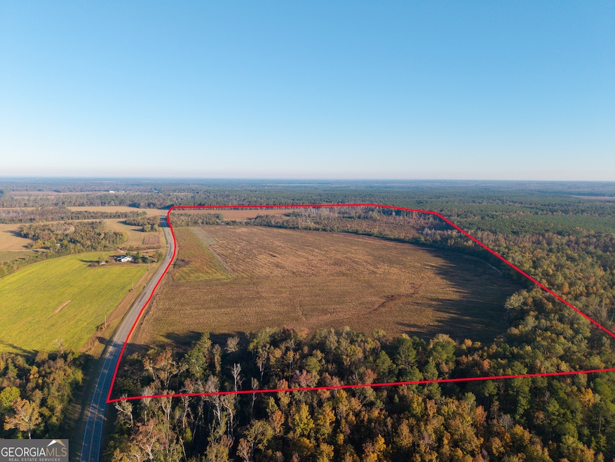 1 Georgia 17, Wadley, GA 30477 - photo 1