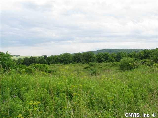 Land/Lot