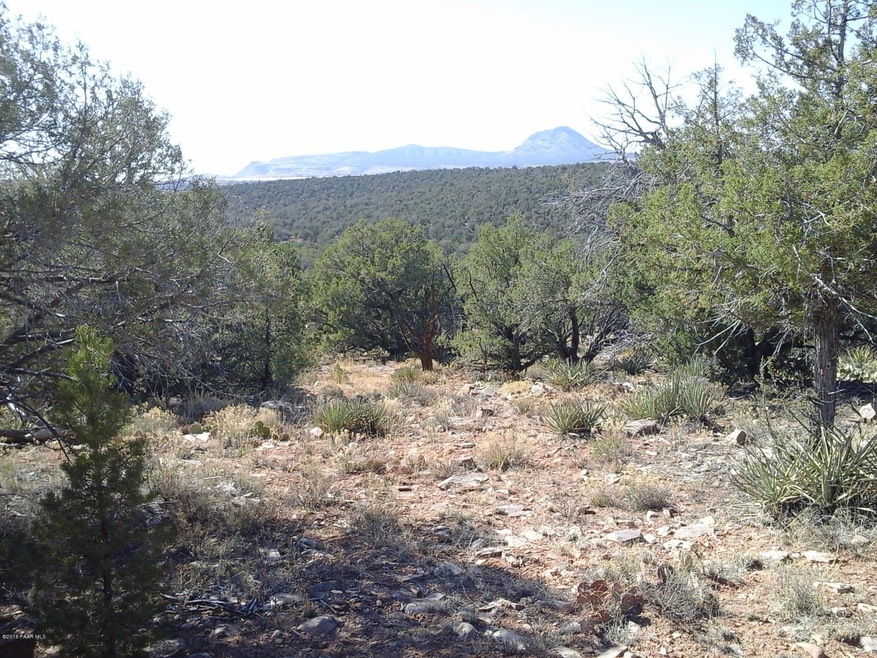LOT 5