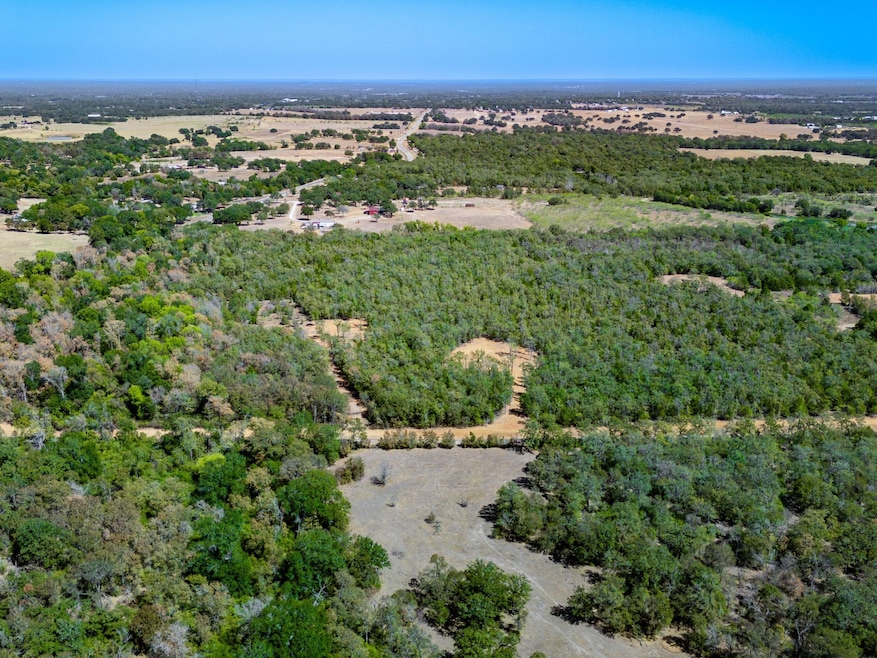 12191 County Road 414, Somerville, TX 77879 - photo 1