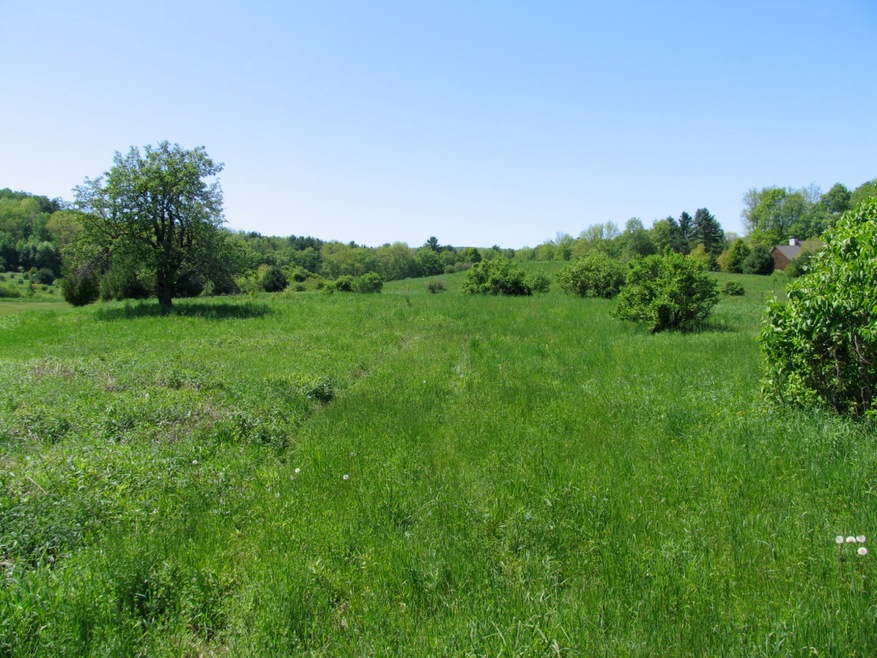 Land