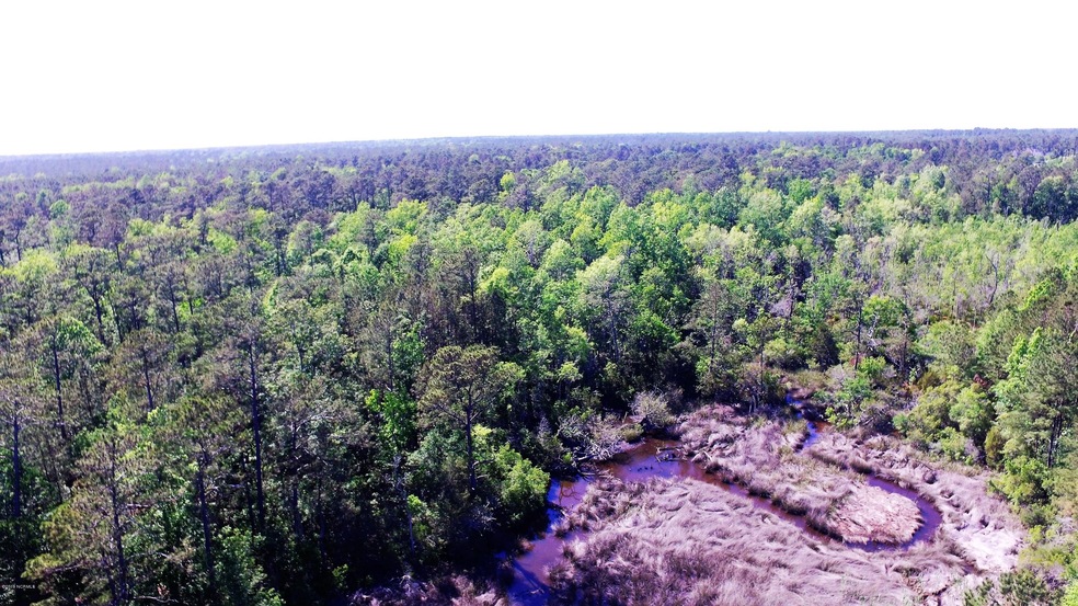 Jesse Lee Lane Photo of winding creek 1,