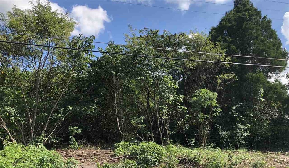 1256 Charles Bryan Rd, Cordova, TN 38018 - photo 1