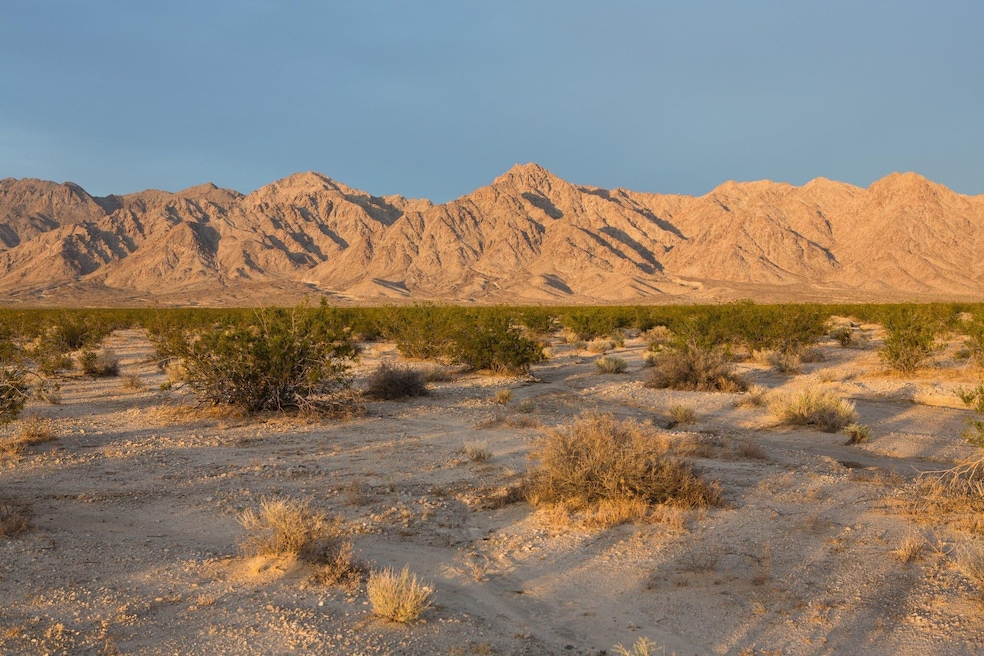 24palms1-superJumbo