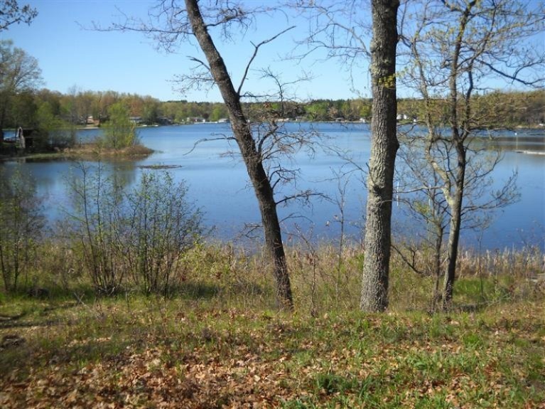 288 Pine St, Bitely, MI 49309 - photo 1