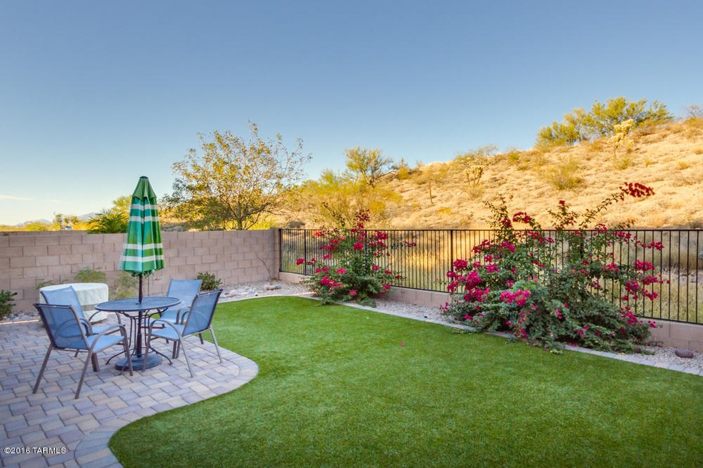 29 back yard
