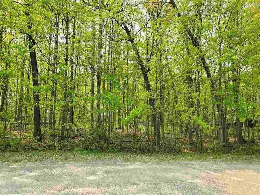 Sold $5,000 • Co-Listing Agent