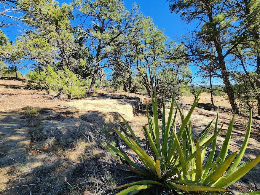 Davids Rock Rd, Pinehill, NM 87357 - photo 1